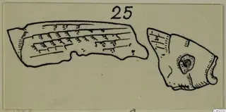 Ink drawing of two fragmentary objects, one with incised lines and one with a small pierced boss, on a card.