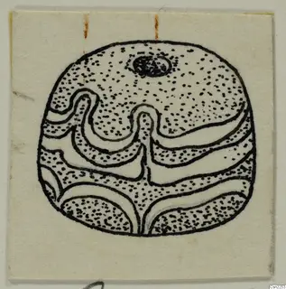 Ink drawing of a rounded object with a small hole near the top and curving bands of stippled and plain areas
