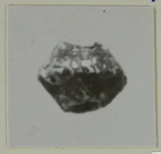 Small faceted object with a mottled, textured surface, shown centred on a white background