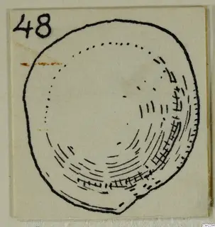 Ink drawing of a rounded object from Vouni with hatched shading along its lower edge