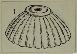 Pen drawing of a ribbed, dish-shaped object with a flat raised rim, on a card, from Amathus tombs