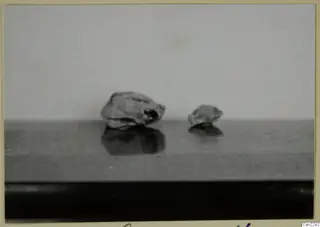 Two small pieces of blown glass on a dark reflective surface against a pale grey background