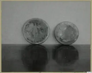 Two round objects standing upright on a glossy surface against a plain grey backdrop, with their reflections below