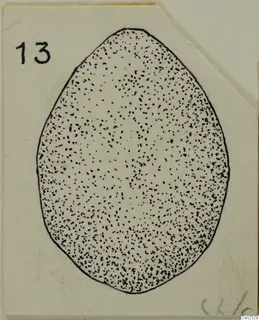 Drawing of an egg-shaped object with a stippled surface, shown on a card with a number label, in the Vouni metalwork series