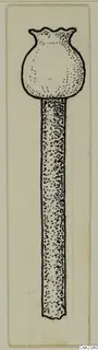 Pen drawing of an iron tool with a rounded, bulbous head and a long straight shaft