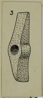 Drawing of an iron tool with a round hole near its middle, marked with a number label