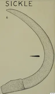 Ink drawing of a curved sickle with a squared-off lower end and a small dark mark inside the curve.