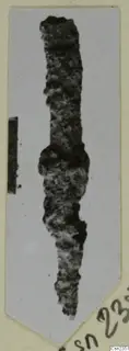 Corroded iron knife, a long narrow object with a swelling near the middle, shown on a card mount