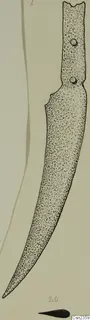 Ink drawing of an iron knife with a tapering blade and two rivet holes in the handle end.