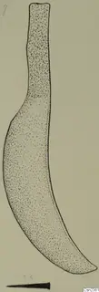 Field drawing of a curved iron tool with a narrow straight upper end, shown with stippled shading