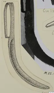 Mounted card with an ink drawing of an iron tool with a looped end, beside a photograph of a dark curved object