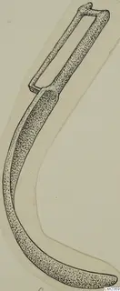 Ink drawing of a long curved iron tool with a rectangular loop at its upper end