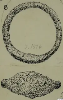 Stippled ink drawing of two iron objects: a thick ring above and an elongated tool below