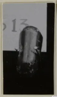 Elongated object standing upright on a dark ground, with part of a printed number label behind it
