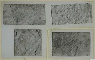 Four close-up photographs of grey, textured surfaces mounted together on a card, recorded as bone