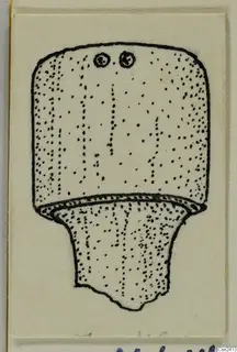 Drawing of a bone object with a rectangular upper part and two small ring-shaped marks, flaring to a broken base