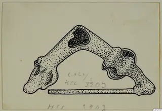Ink drawing of a silver arched object with a straight stippled bar beneath it