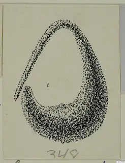 Stippled ink drawing of an open, loop-shaped object on a card, with a handwritten number label below