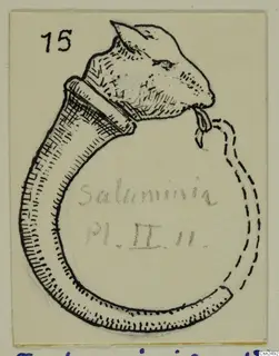 Drawing of a silver looped band ending in an animal head, from Salaminia