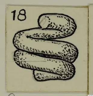 Drawing of a silver object: a thick tube coiled into overlapping S-shaped loops, with a number label.