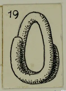 Ink drawing of a loop-shaped object with an oval opening and stippled shading along its band, on a cream card.