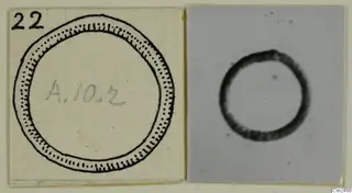 Silver ring from Amathus, shown as a pen drawing and a photograph