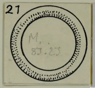 Ink drawing of a circular silver object with concentric outlines, from find M. 83. 23