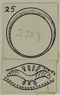 Ink drawings of two objects on cards: a circular object above and a curved, ridged object below.