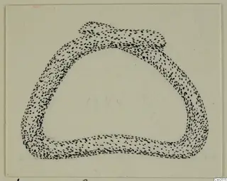 Stippled drawing of a silver object: a thick loop with a flattened knob at the upper edge.