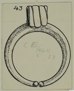 Ink drawing of a silver ring with a broad ridged collar and two knob terminals at the bottom of the hoop.