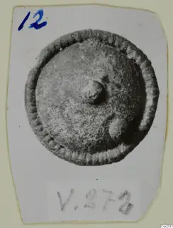 Round disc-shaped silver find with a ribbed rim and central knob, photographed on a mounted card