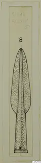 Drawing of a bronze spearhead with a long leaf-shaped blade and a narrow tang