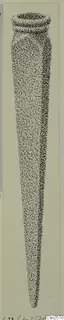 Stippled drawing of a long, tapering bronze weapon with a grooved rim at the wide end
