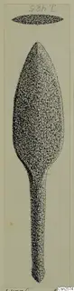 Drawing of a bronze weapon with a leaf-shaped blade and long tapering tang.