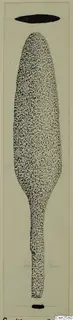 Drawing of a bronze weapon, a leaf-shaped blade with a long narrow stem, from Soli