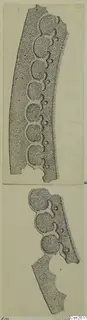 Drawings of bronze weapon fragments with rows of round raised bosses, from Idalion