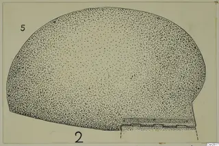 Drawing of a bronze dome-shaped object in profile, stippled to show its surface, with a stepped lower edge
