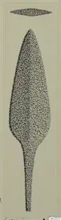 Drawing of a leaf-shaped metal blade with a long tang, with a cross-section above it, from Idalion