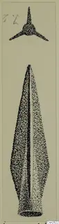 Drawing of a leaf-shaped spearhead with a central rib, and a small three-barbed point above it.