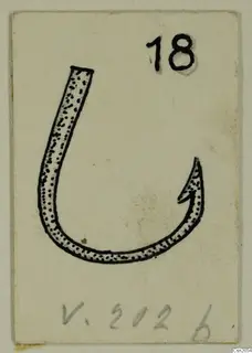 Drawing of a hook-shaped bronze object on a card, with a number label in the upper right corner