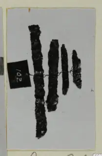 Four corroded bronze tools bound together with wire, with a square number label at the left
