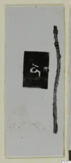 Small find photograph of a thin, elongated dark object beside a dark label with a white number
