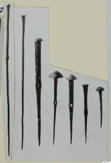 Seven slender metal objects with domed or knobbed heads, laid out side by side on a pale mount.