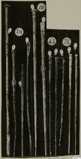 Long slender bronze tools with tapering shafts, standing upright against a black background with numbered paper tags.
