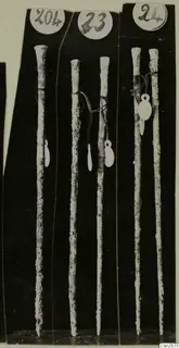 Five long metal tools with tapering shafts, each group under a round number label, on a black background