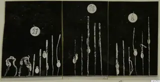 Three panels of metal tools: long thin rods and bent looped pieces, with round numbered tags above each group.