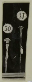 Two bronze tools with flared tops and long tapering shafts, each beside a round number label, against a dark background.