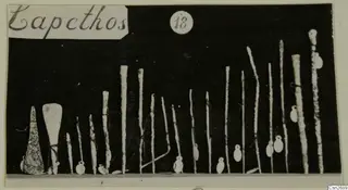 Row of bronze tools and long pins standing upright on a shelf against a dark background, with a handwritten card at top left