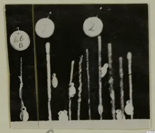 Small bronze tools mounted on upright pins against a dark background, with numbered round tags above