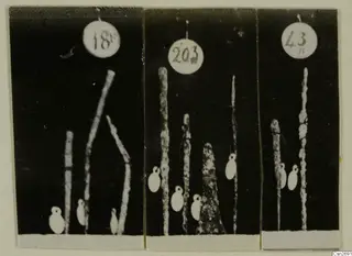 Three photographs of slender metal tools standing upright against black backgrounds, each with a round number label above.